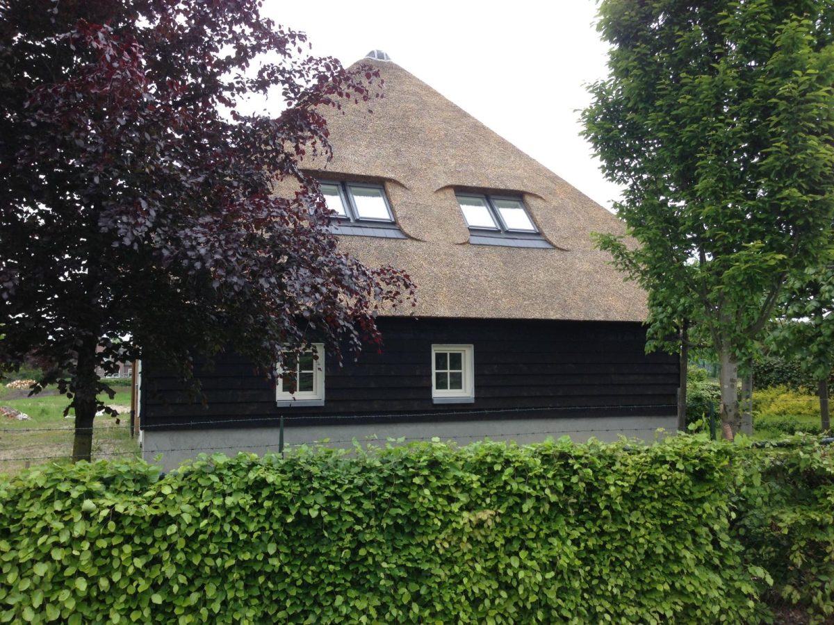 WhatsApp Image 2026-02-12 at 16.25.52 (3)